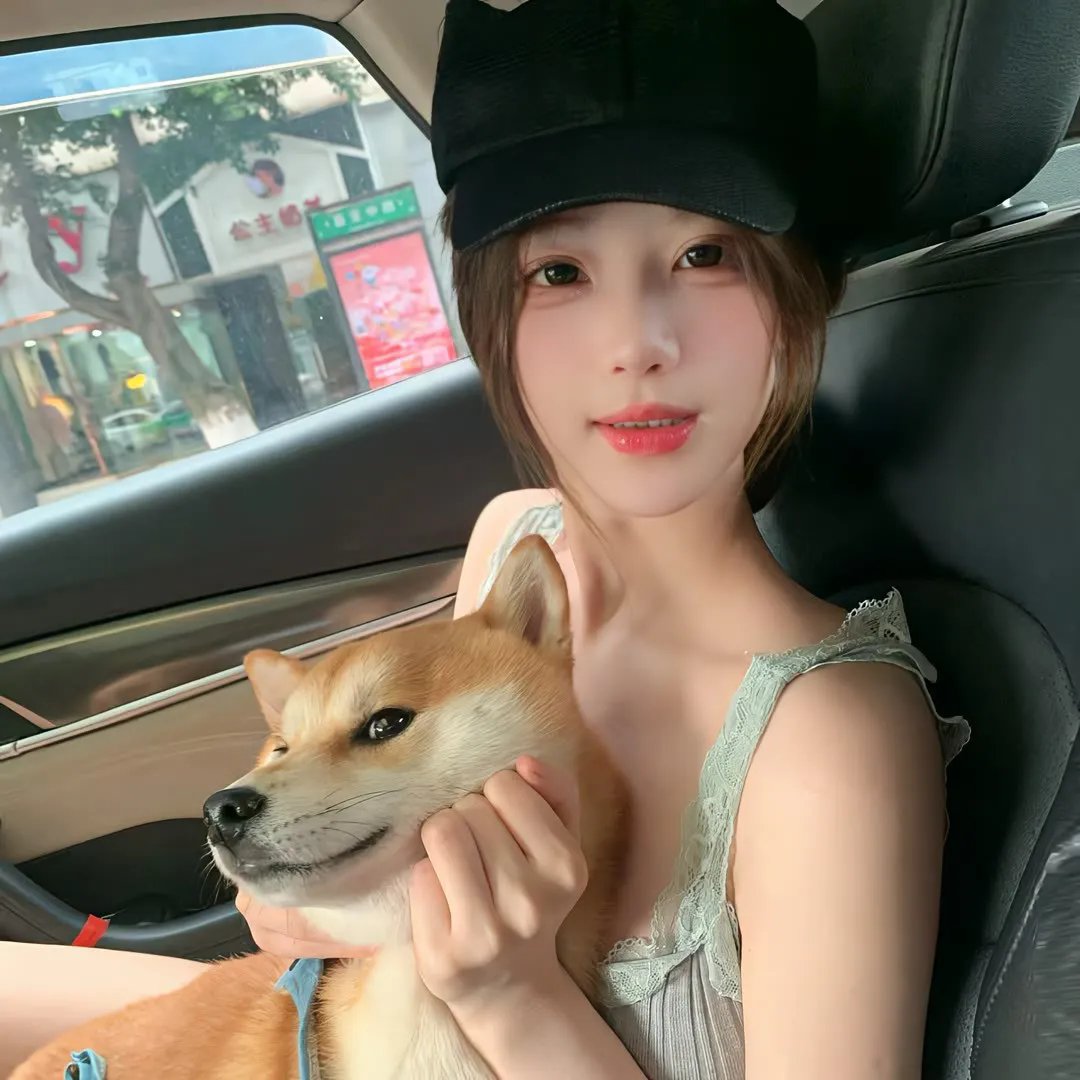 汪汪队立大功第八季