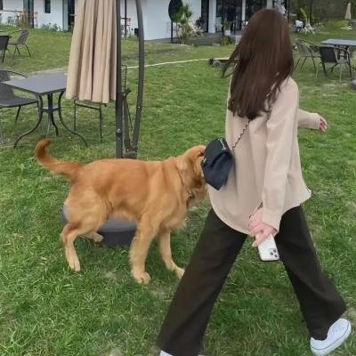 啤酒火箭